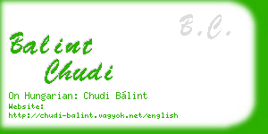 balint chudi business card