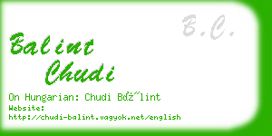 balint chudi business card